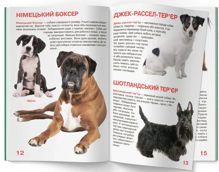 Книга Велика книжка. Собаки. Олег Зав'язкин - Фото 5 Книга Велика книжка. Собаки. Олег Зав'язкин - изображение 5