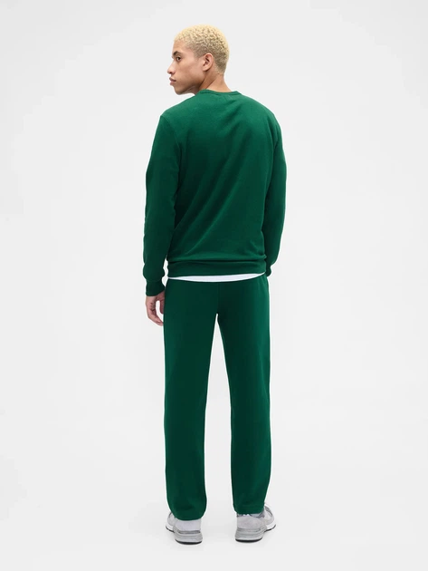 Спортивные штаны утепленные мужские GAP 876194523 L Зеленые (1162979248) - Фото 4 Спортивные штаны утепленные мужские GAP 876194523 L Зеленые (1162979248) - изображение 4