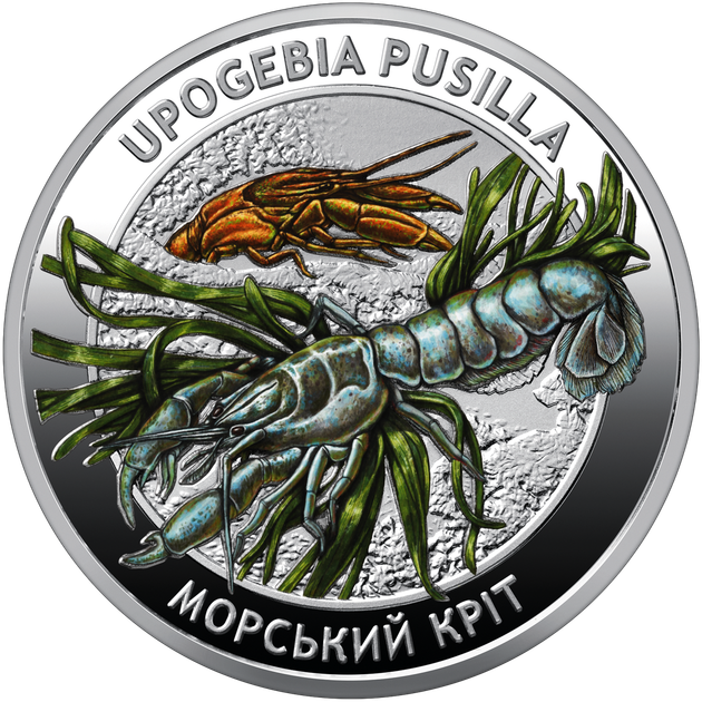 Набор НБУ из двух монет Жители морских глубин в сувенирной упаковке 2026 год - изображение 6
