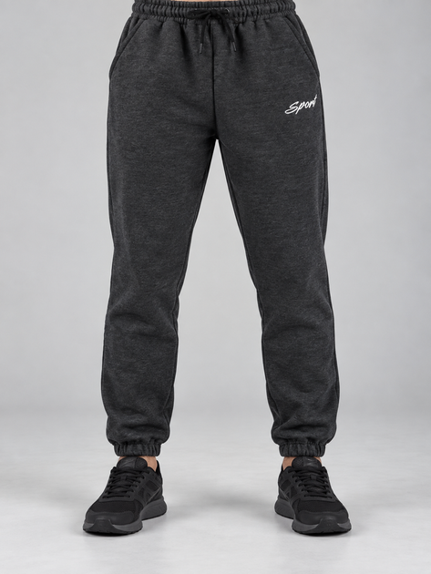 Зимние теплые мужские спортивные штаны серые с начесом Sport (449720) L - Фото 1 Зимние теплые мужские спортивные штаны серые с начесом Sport (449720) L - изображение 1