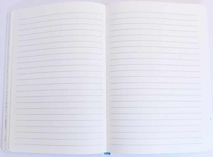 Notes Bourgeois karton laminowany N9541 A5 64 arkusze linia (6971901347362) - obraz 3