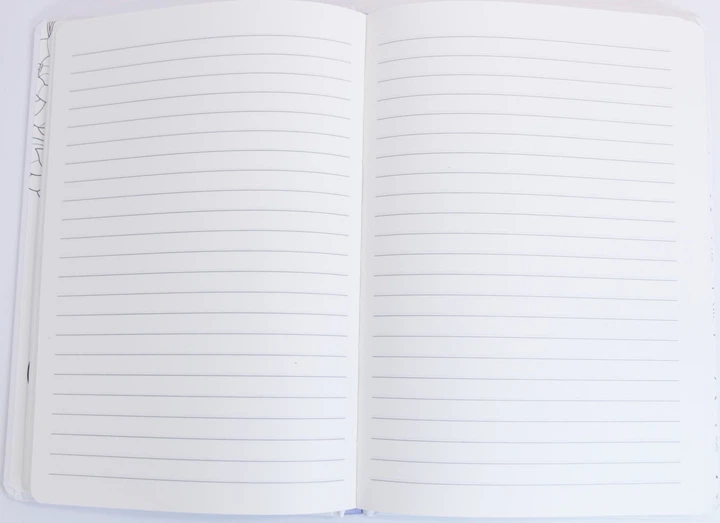 Notes Bourgeois karton laminowany N9540 A5 64 arkusze linia (6971901347485) - obraz 3