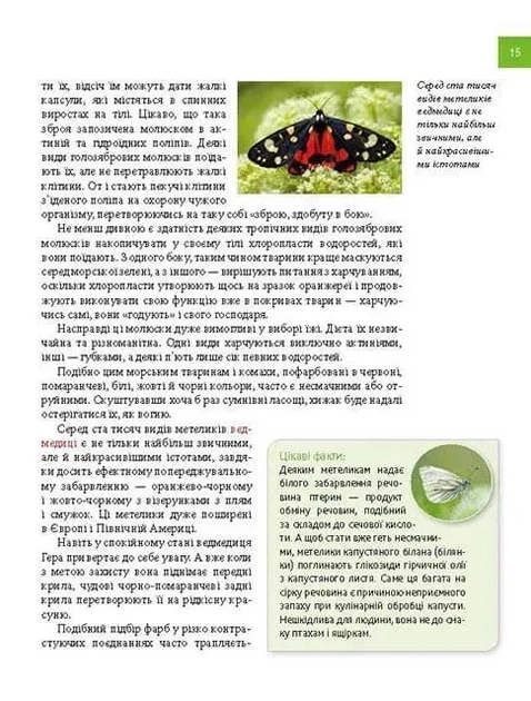 Книга Тварини - майстри маскування. Енциклопедія для допитливих. Андрій Гапченко - Фото 5 Книга Тварини - майстри маскування. Енциклопедія для допитливих. Андрій Гапченко - изображение 5