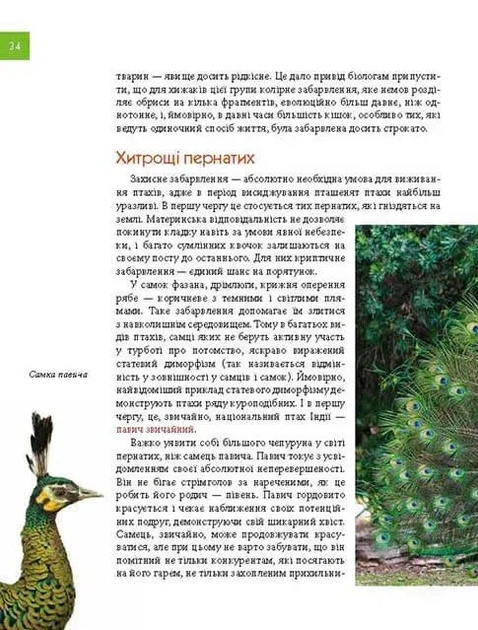 Книга Тварини - майстри маскування. Енциклопедія для допитливих. Андрій Гапченко - Фото 8 Книга Тварини - майстри маскування. Енциклопедія для допитливих. Андрій Гапченко - изображение 8