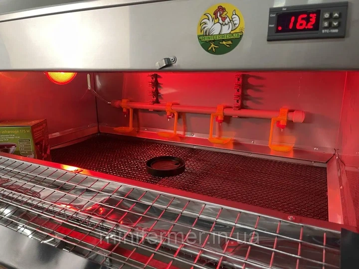 Брудер для обігріву курчат з нержавіючої сталі MiniFermer - изображение 3