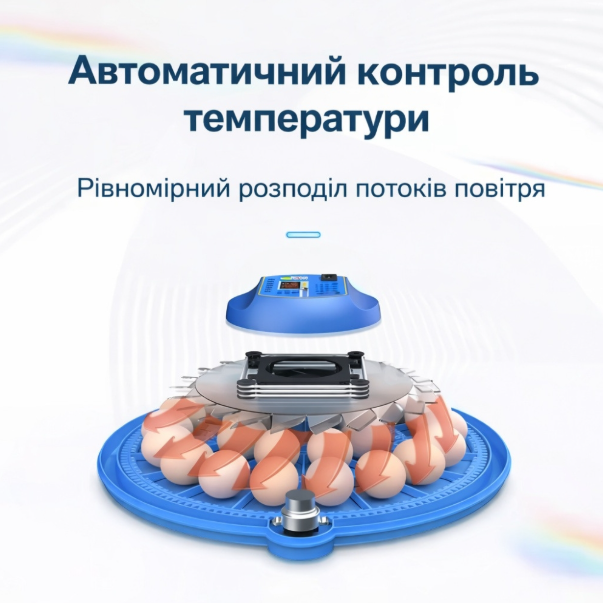 Інкубатор автоматичний на 80 яєць Vertis (220/12В) з цифровим контроллером - изображение 3