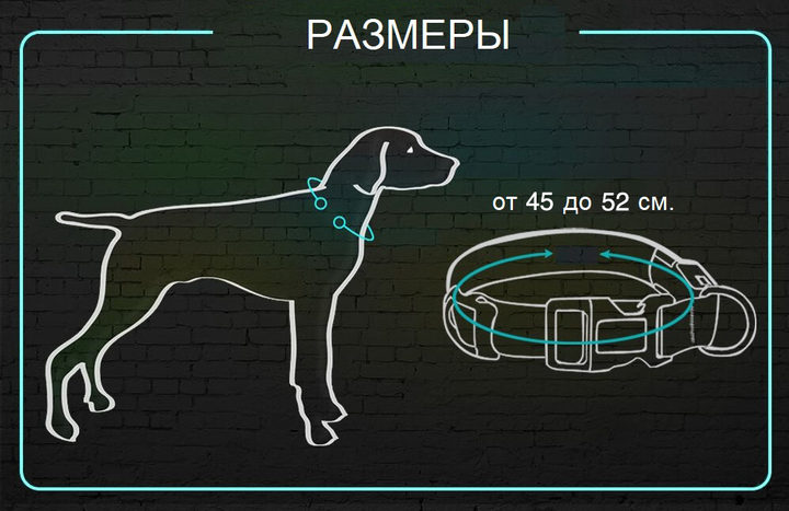 Светящийся ошейник Glowing collar на аккумуляторе с USB зарядкой L (2000992392976) - Фото 3 Светящийся ошейник Glowing collar на аккумуляторе с USB зарядкой L (2000992392976) - изображение 3