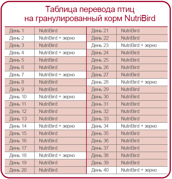 Корм для попугаев Versele-Laga NutriBird В14 Maintenance 800 г (5410340221013) - Фото 2 Корм для попугаев Versele-Laga NutriBird В14 Maintenance 800 г (5410340221013) - изображение 2