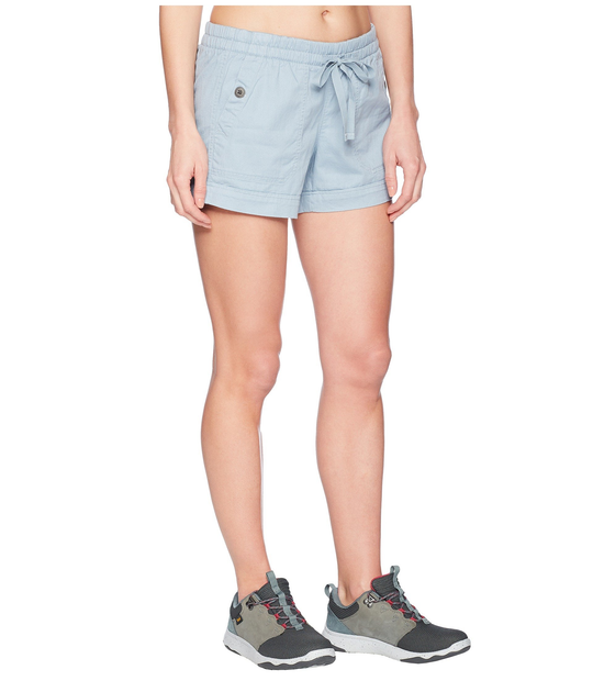 north face sandy shores shorts