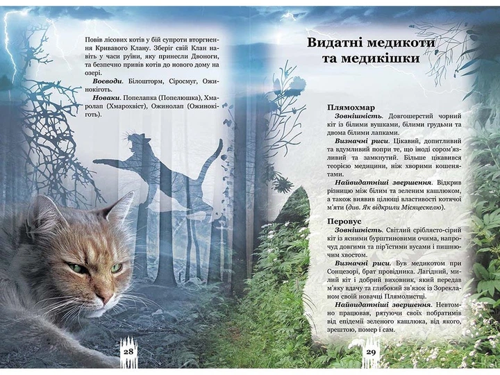 Книга Тайны кланов. Коты воители (на украинском языке) - изображение 3