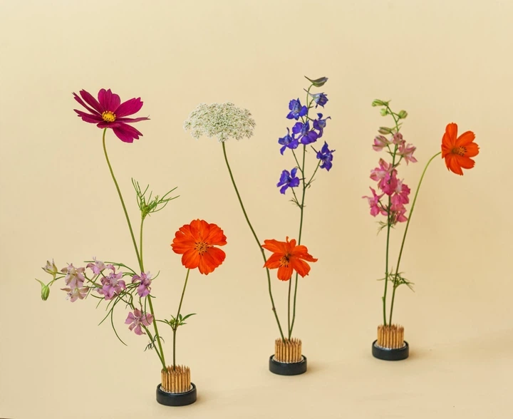 Іш киімсіз канкан