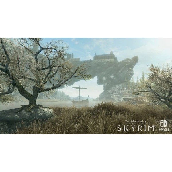 ROZETKA » The Elder Scrolls V: Skyrim (русская версия) (Nintendo