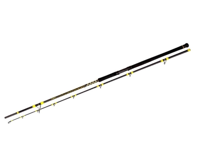 Black Cat PASSION PRO DX 2,4m-2,7m 600g 2-section Catfish Rod 