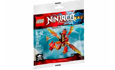 Конструктор LEGO Дракон Кая 39 деталей (30422)