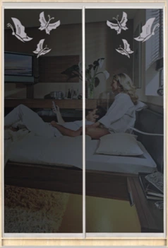 Шкаф купе Luxe Studio Стандарт-1 Тонированное зеркало с Пескоструем-7 1100x2100x450 двухдверный (12797)