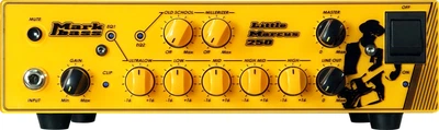 Усилитель для бас-гитар MarkBass Little Marcus 250 (169987329)