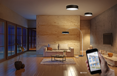 Потолочный светильник Trio Hotel (603900302)