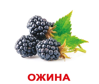 Карточки большие украинские с фактами «Ягоди» 20 карточек 097041