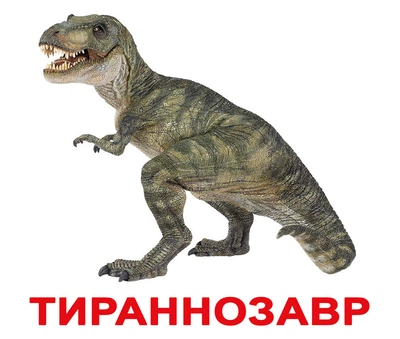 Карточки большие русские с фактами «Динозавры» 20шт 096563