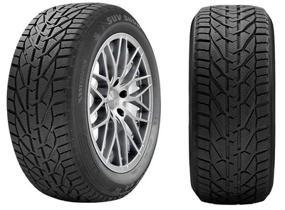 ORIUM Winter 225/50R17 98V