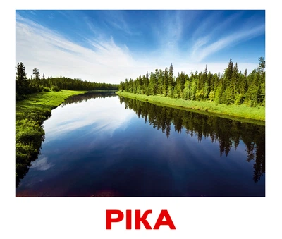 Карточки Природа