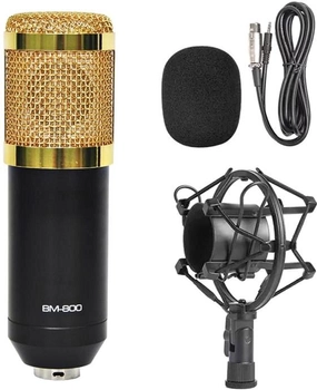 Микрофон конденсаторный Protech BM-800 Black (PM-9799)