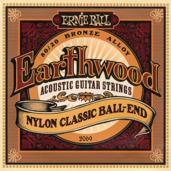Струны для акустических гитар Ernie Ball Earthwood P02069 (749699120698)