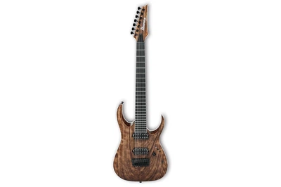 Електрогітара IBANEZ RGAIX7U ABS