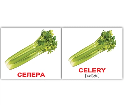 Картки міні українсько-англійські «Овочі/Vegetables» 40шт(095788)