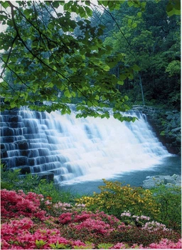 Фотообои Водная феерия бумага ArtDecor 134x194 см