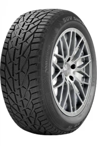 RIKEN Snow 195/50R15 82H