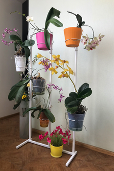 Стеллаж для орхидей (55 фото)