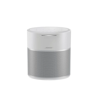 Акустическая система Bose Home Speaker 300 Gray