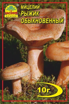 Мицелий грибов Рыжик 10 г (Насіння країни)