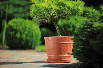 Горщик для квітів Form-Wood Plastic круглий під дерево 1,3 л 15 х 13 см Теракот