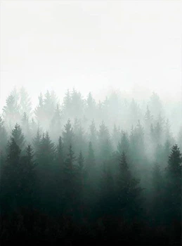 Фотообои бумажные De-Cors лес 200х270 см 2 сегмента (201005)