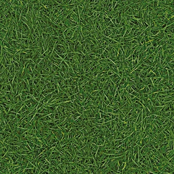 Линолеум IVC Vision Grass T25