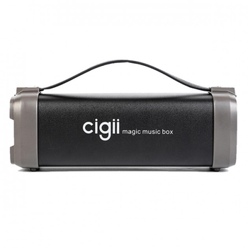 Акустическая система Cigii F52 Black