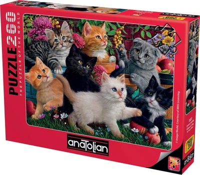 Пазлы Anatolian Котята в игре на 260 элементов