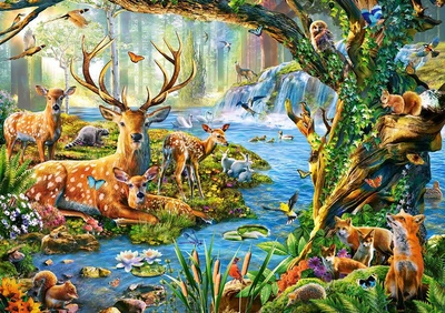 Пазлы Сastorland Лесная жизнь на 500 элементов