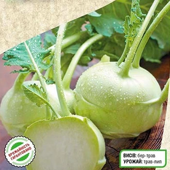 Семена Капуста кольраби Венская белая Florium (709057)