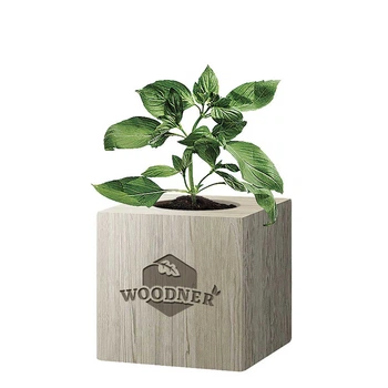 Набор для выращивания Woodner «Няшный Базилик» (26661)