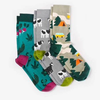Набір шкарпеток Dodo Socks Selo 39-41
