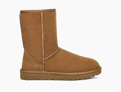 Угги Классические короткие Classic Short Chestnut 1016223 Ореховый 40