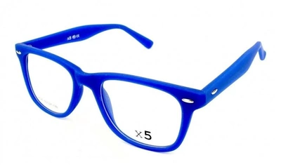 Компьютерные очки X5 с футляром 540-C5 (полимер)