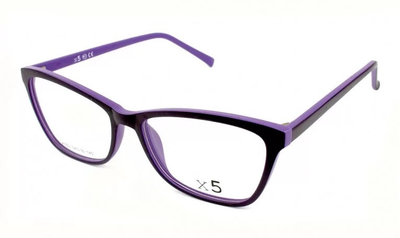 Компьютерные очки X5 с футляром 559-C1 (полимер)