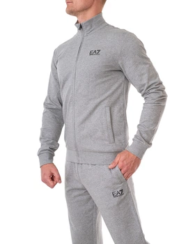 Костюм спортивний чоловічий ARMANI EA7 (8NPV51-PJ05Z-3905/20) Сірий M