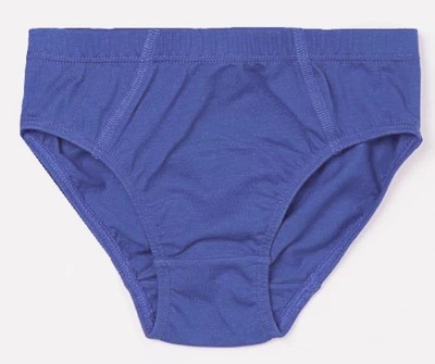 Трусики сліпи однотонні для хлопчика H&M 0485542003 092 см (18-24 months) синій