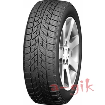 Шина Doublestar WINTERKING DW09 235/55 R17 99T