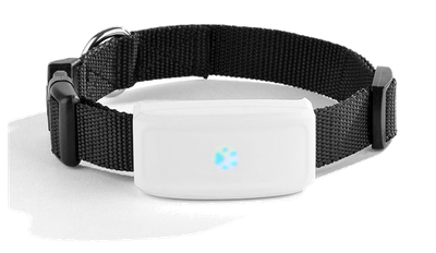Нашийник GPS Tracker Трекер для Собак ТКSTAR Модель: ТК-911, Вага 33гр., Захист IP66